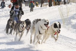 Lenk 2012 SM